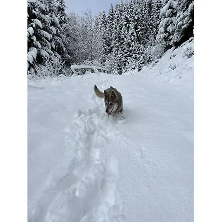 別荘 With 2 Bedrooms Sankt Urban