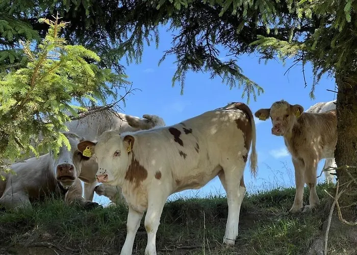 With 2 Bedrooms Σπίτι διακοπών Sankt Urban