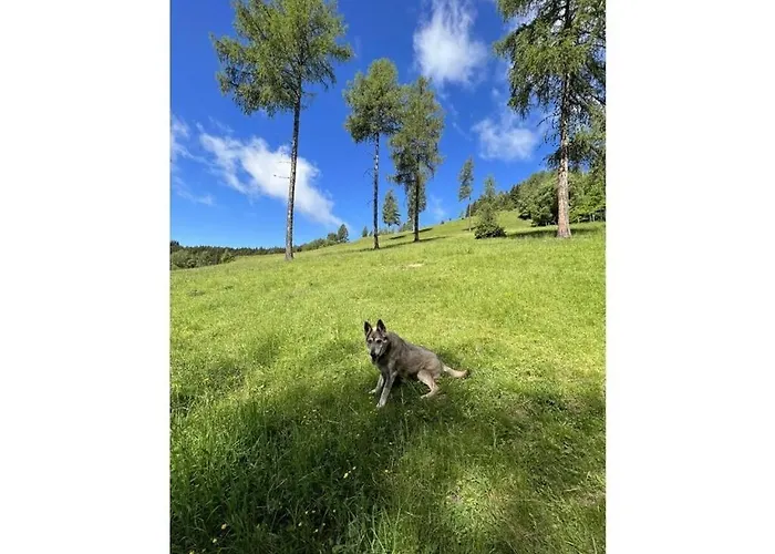 With 2 Bedrooms Sankt Urban