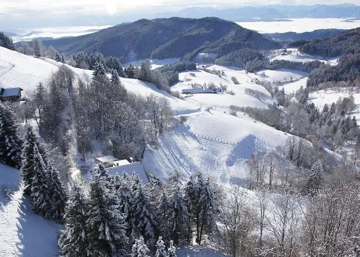 Dom wakacyjny With 2 Bedrooms *