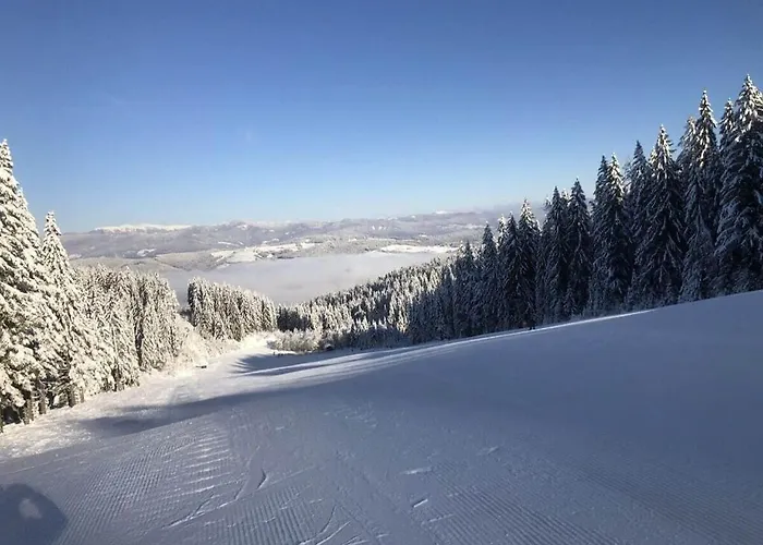 Dom wakacyjny With 2 Bedrooms *