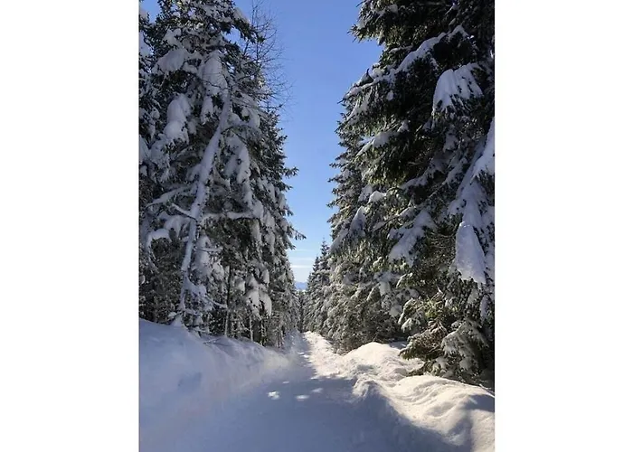 Dom wakacyjny With 2 Bedrooms