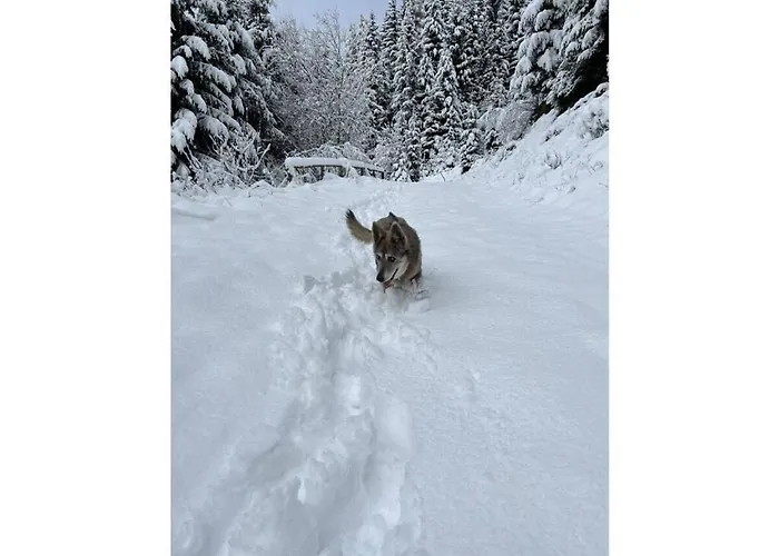 Dom wakacyjny With 2 Bedrooms Sankt Urban