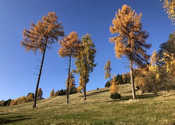 Dom wakacyjny With 2 Bedrooms *